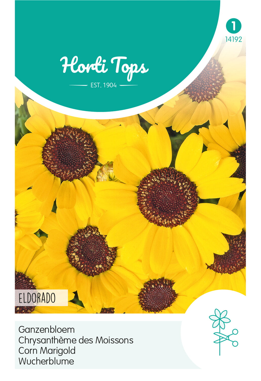 corn marigold seeds Corn Marigold - Eldorado