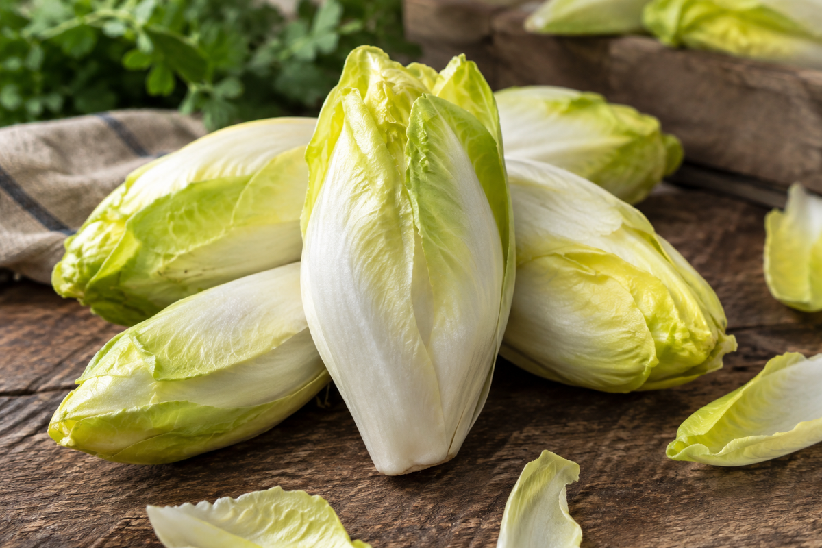 Chicory
