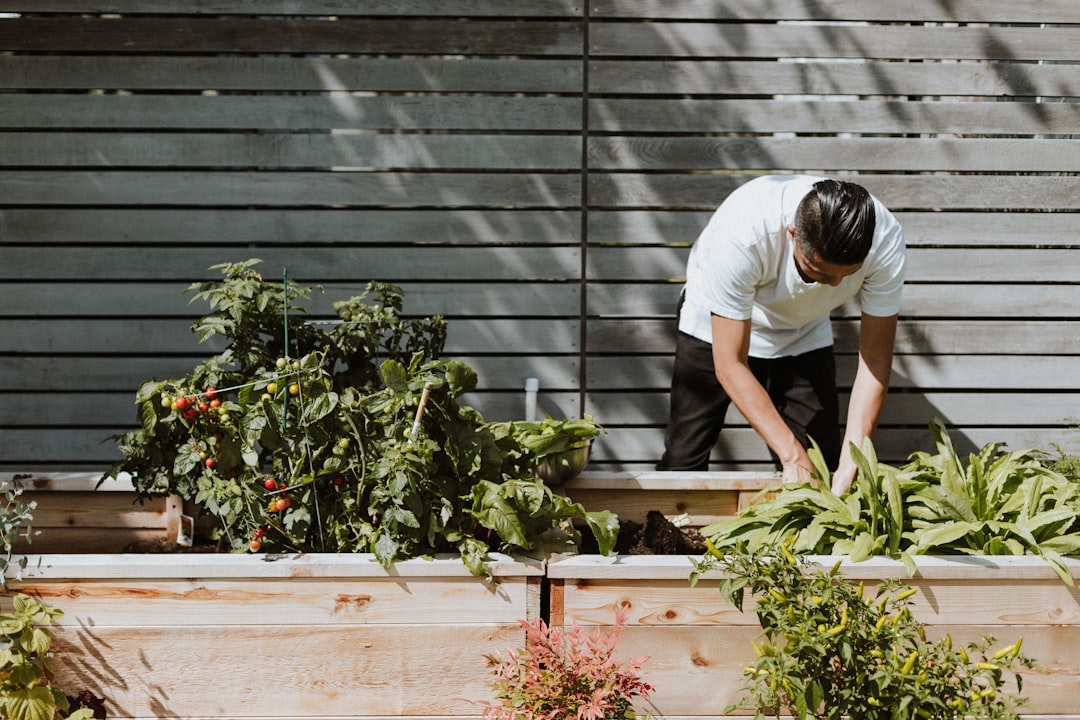 How to Start Gardening From Scratch in 2026