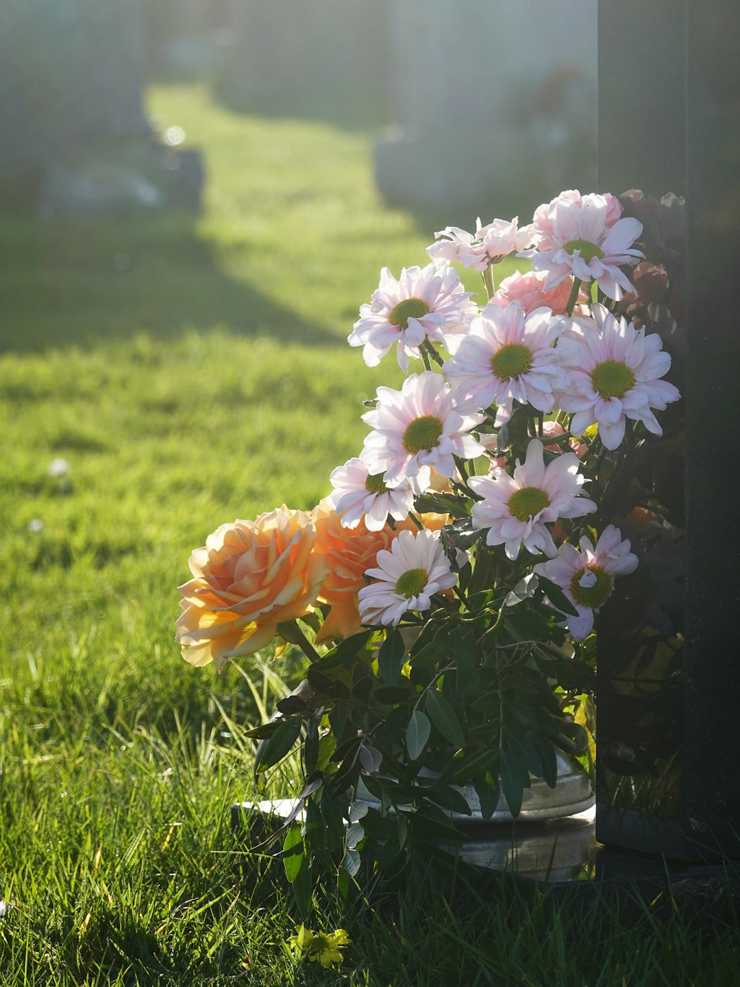 What to Plant on a Grave for All Saints' Day: Autumn Flowers and Plants