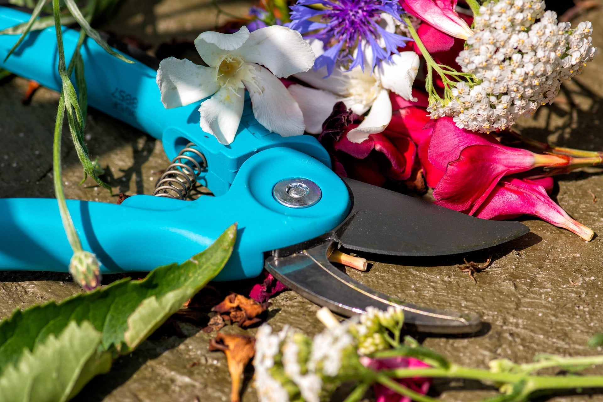Garden Tools & Accessoires