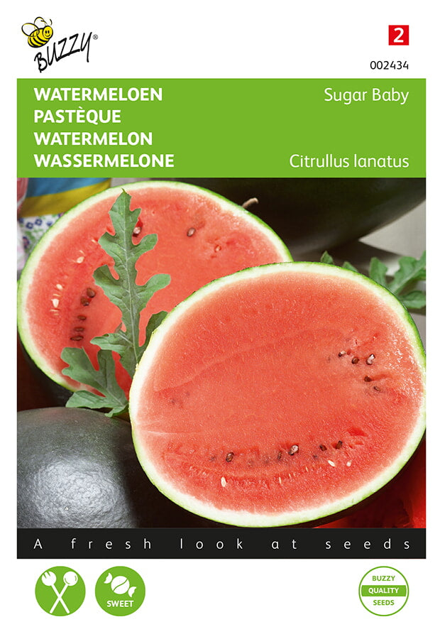 Watermelon - Sugar Baby - 2 g