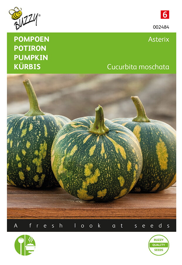 Pumpkin - Asterix - 1 g