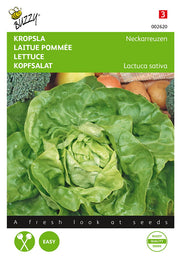 Lettuce - Neckarreuzen - 2 g