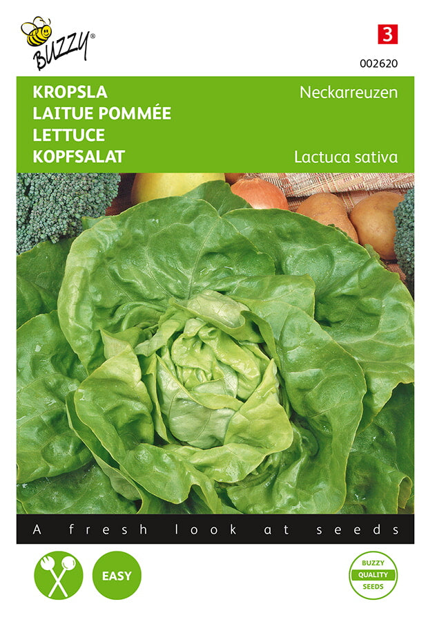 Lettuce - Neckarreuzen - 2 g