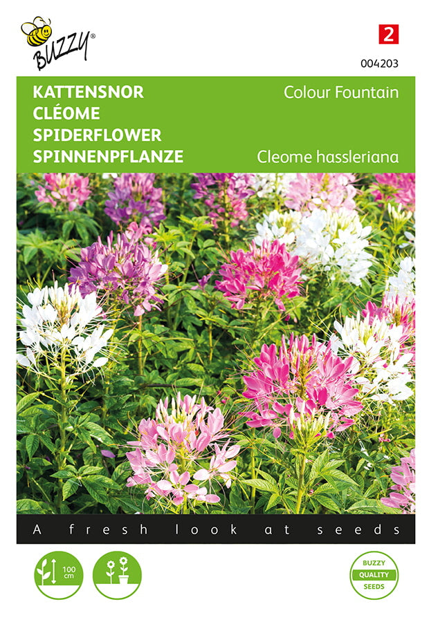 Spiderflower - Colour Fountain - 0,5 g