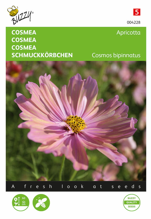 Cosmea - Apricotta - 30 seeds