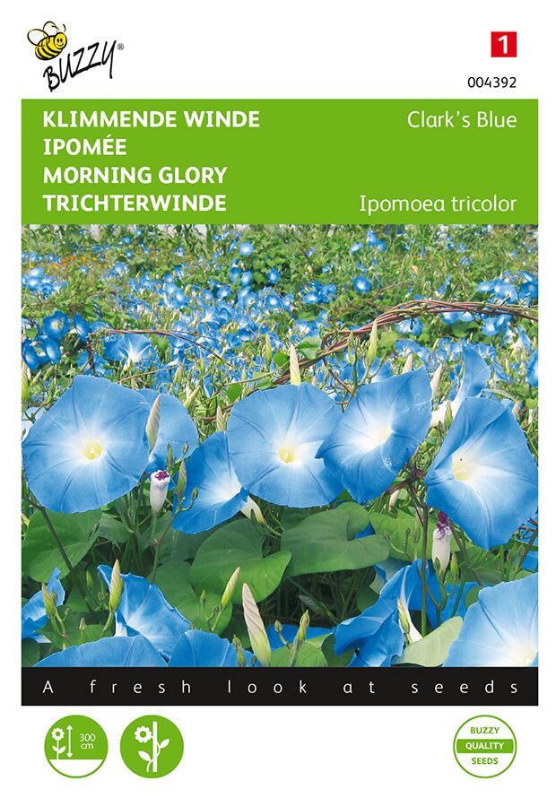 Hajnalka - Clark's Blue - 2g