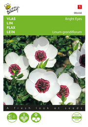 Len - Bright Eyes - 1g