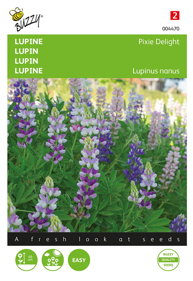 Lupine - Pixie Delight - 2g