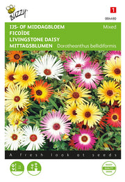 Livingstone Daisy - 0,5g