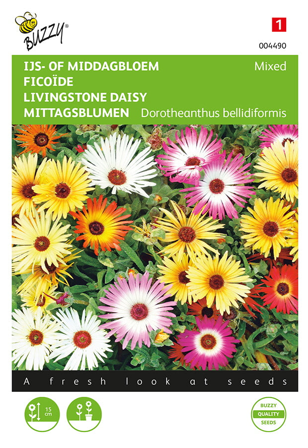 Livingstone Daisy - 0,5g