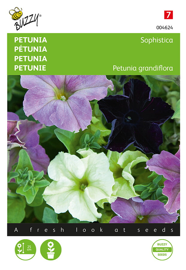 Petúnia – Sophistica – 10 mag