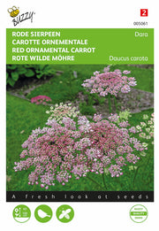 Red Ornamenal Carrot - Dara - 0,1g
