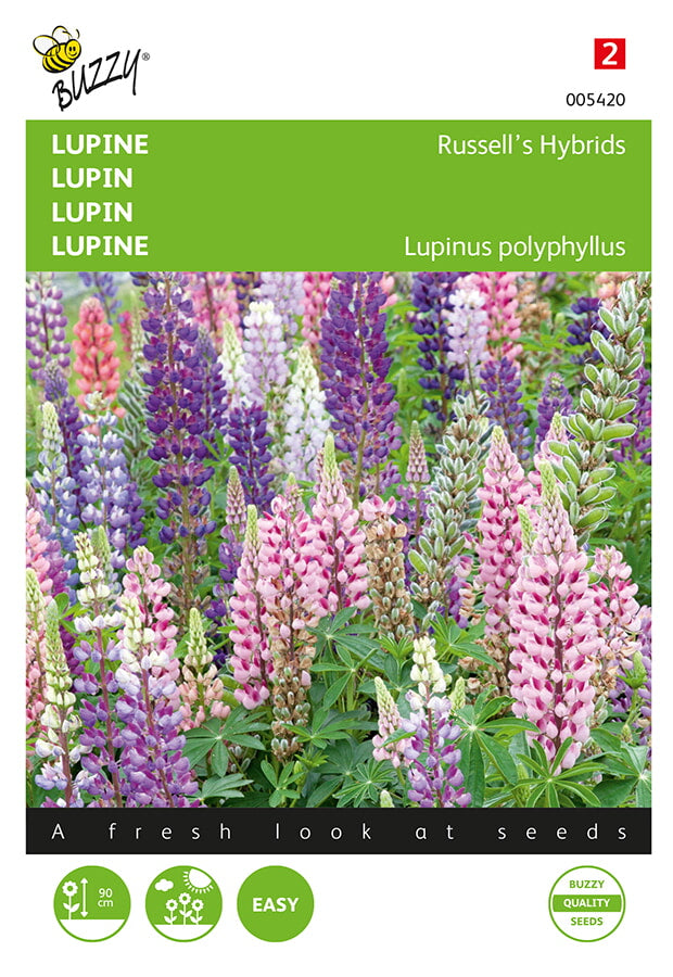 Lupin - Russell's Hybrids - 2g