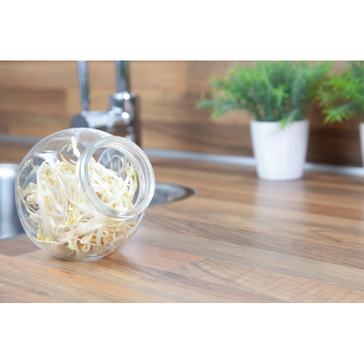 Kitchen Sprouts Glass Pot