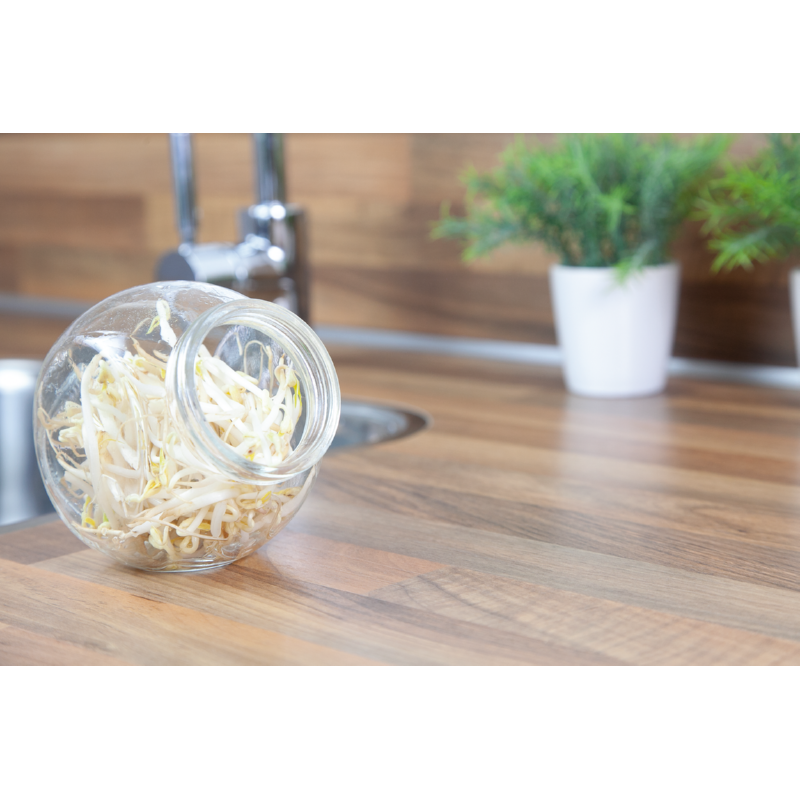Kitchen Sprouts Glass Pot