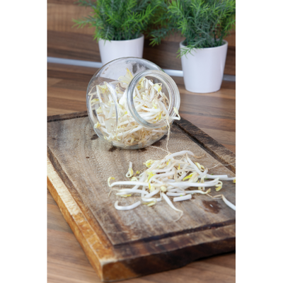 Kitchen Sprouts Glass Pot