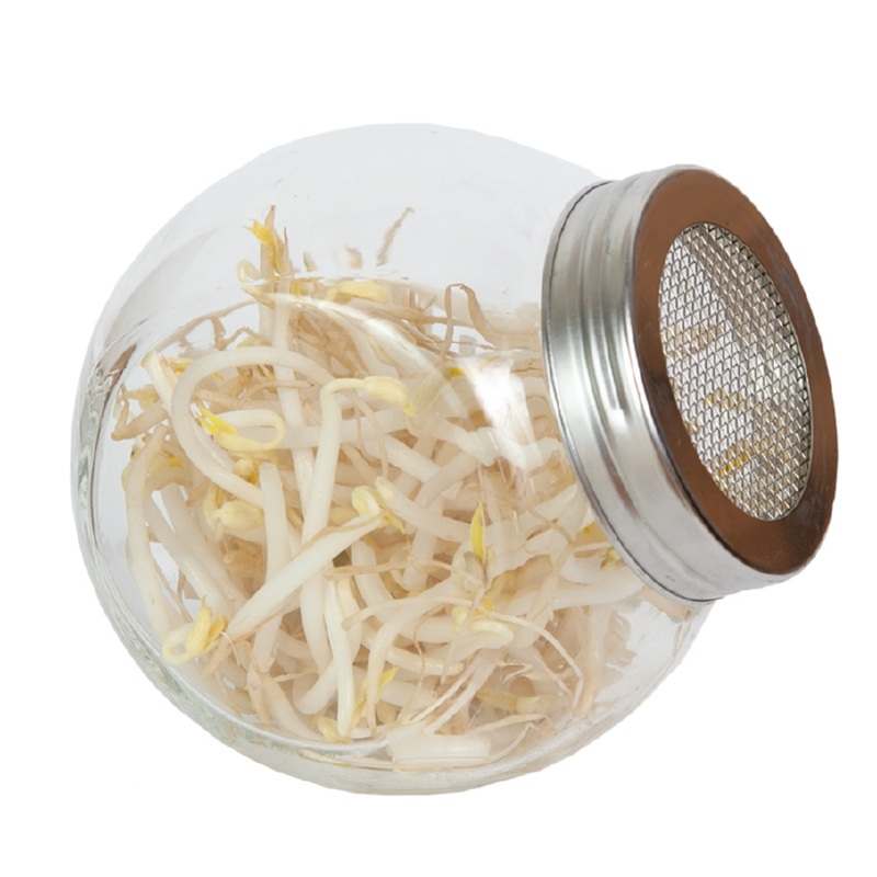 Kitchen Sprouts Glass Pot