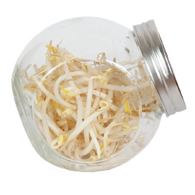 Kitchen Sprouts Glass Pot