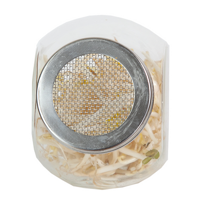Kitchen Sprouts Glass Pot