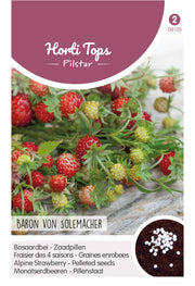 Strawberry - Baron von Solemacher - 100 pelleted seeds