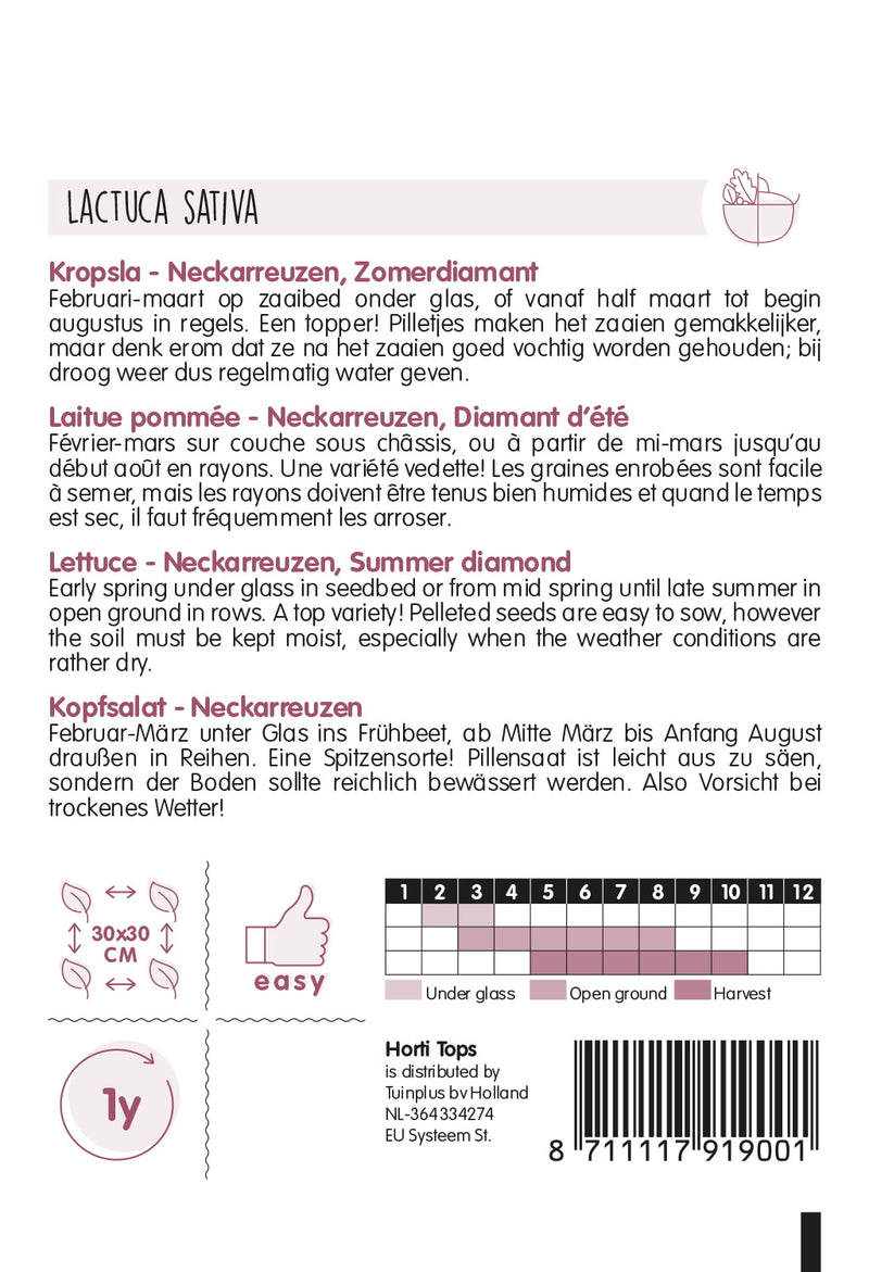 Saláta - Neckarreuzen - 500 Drazsírozott Mag