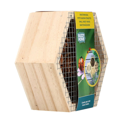 Hexagon Home - Insects