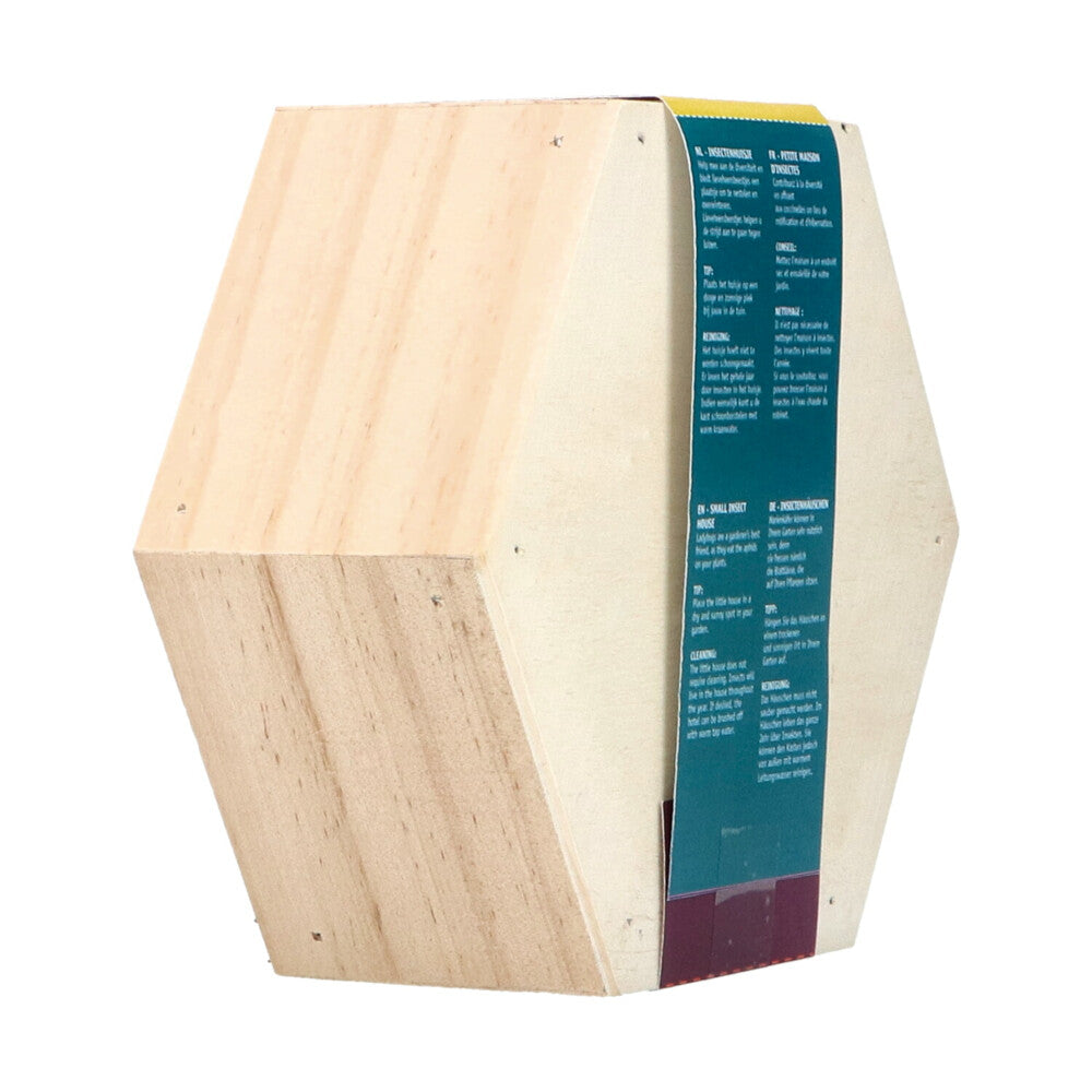 Hexagon Home - Insects