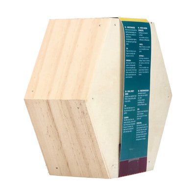 Hexagon Home - Insects