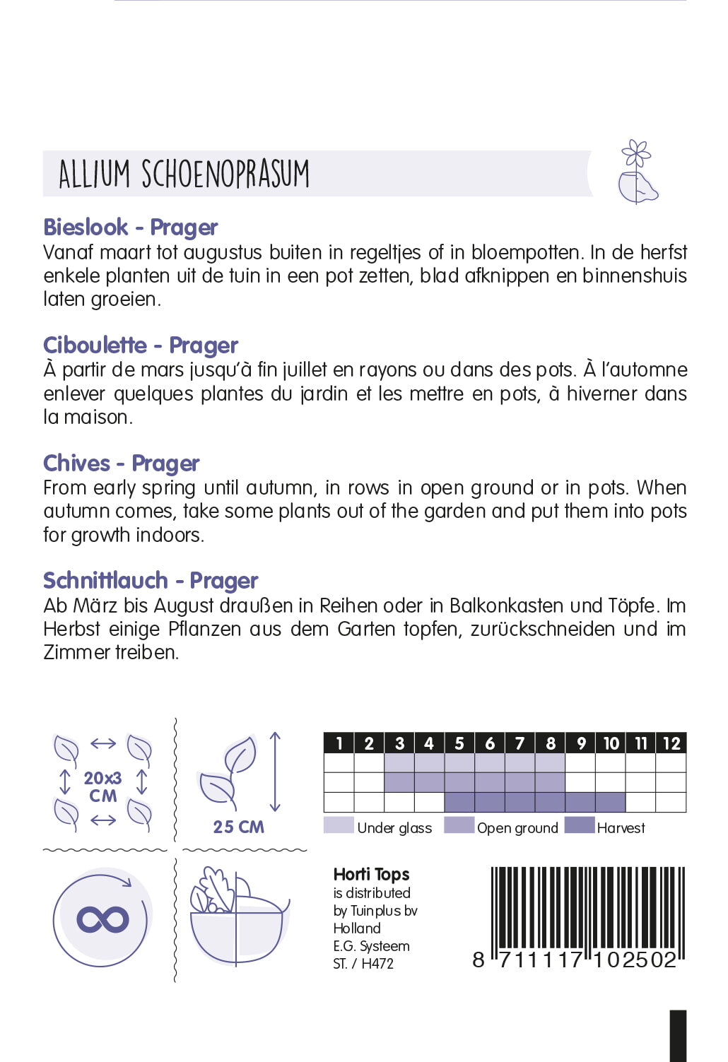 Chives - Prager - 2g