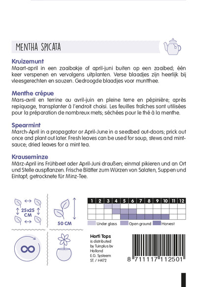 Sorrel - Rumex - 2 g
