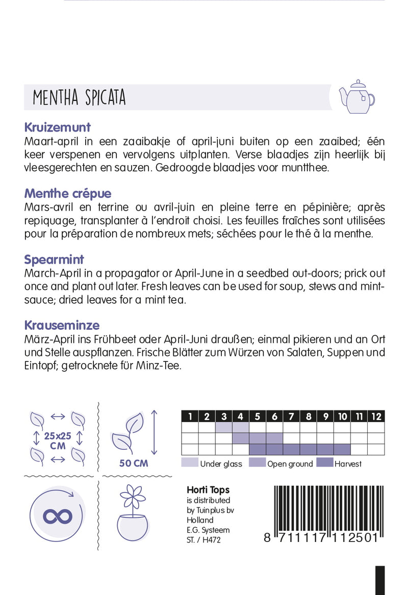 Sorrel - Rumex - 2 g
