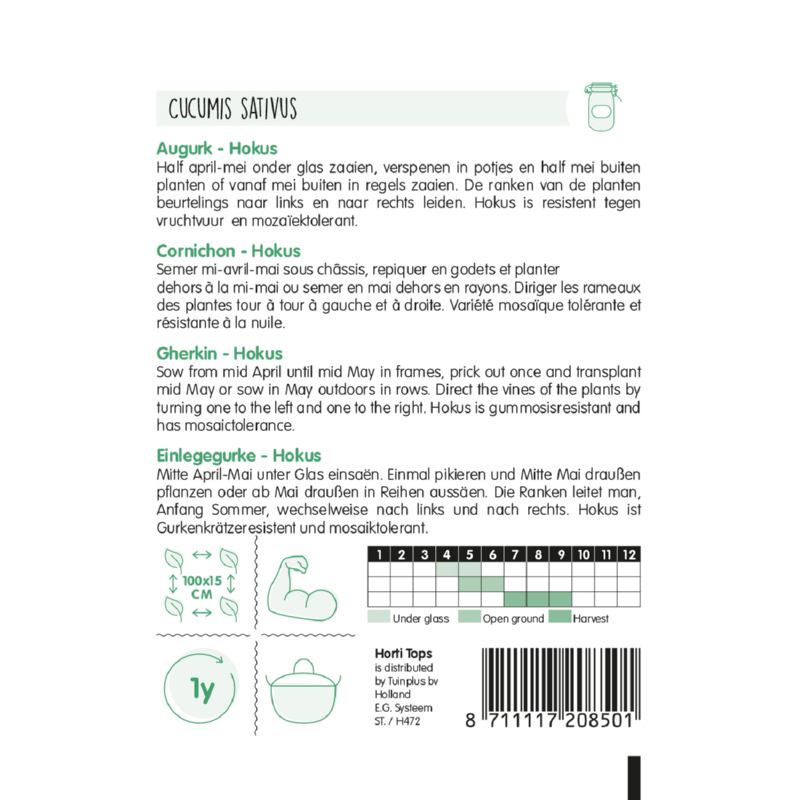 Cucumber - Hokus - 2 g