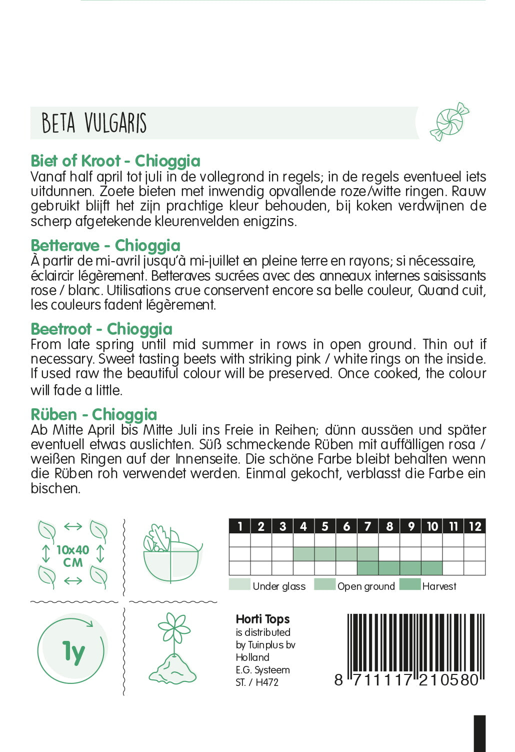 Cékla – Chioggia – 2 g