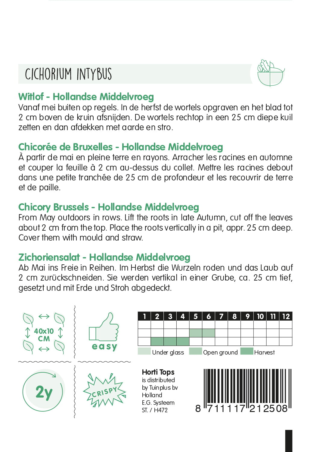 Cikória – Hollandse Middelvroeg – 3 g
