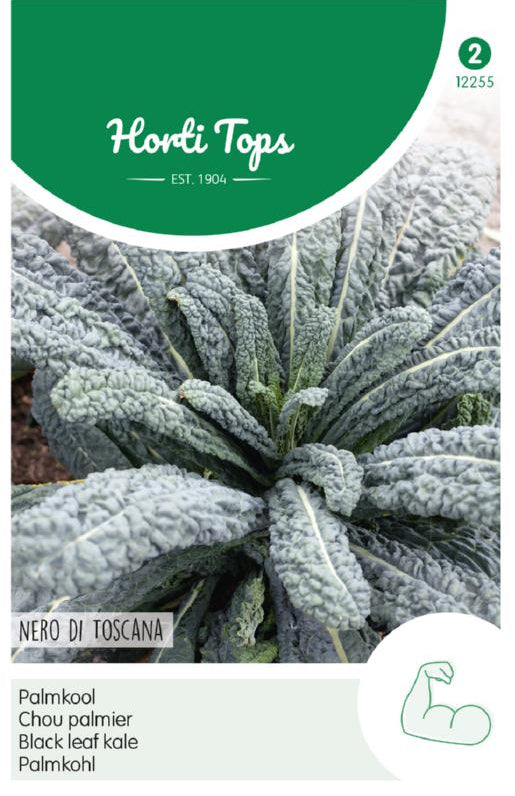 Black Leaf Kale - Nero Di Toscana - 2 g