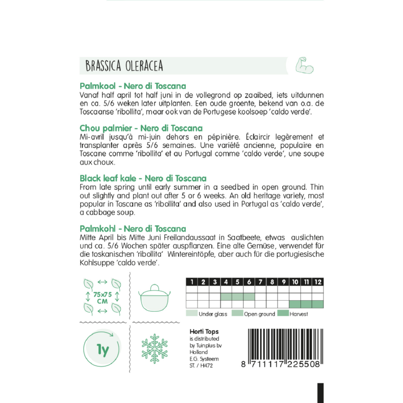 Black Leaf Kale - Nero Di Toscana - 2 g