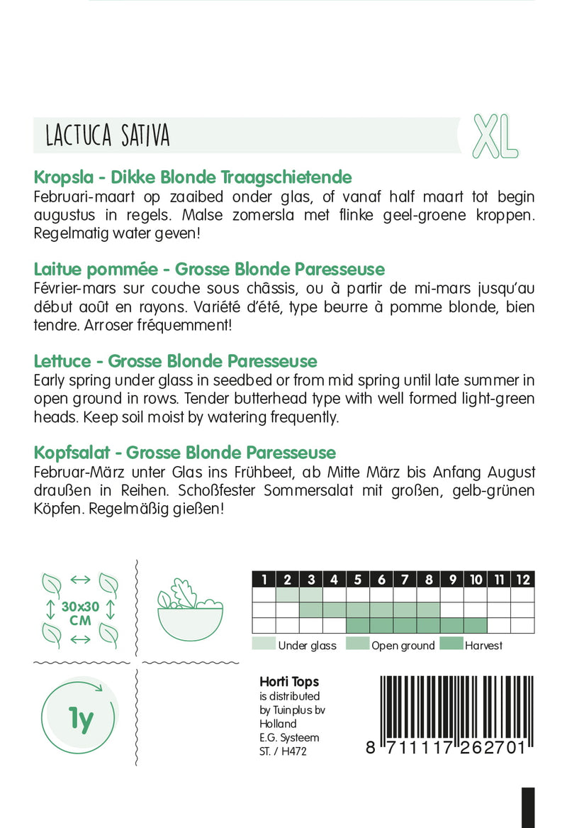Lettuce - Dikke Blonde Traagschietende - 3 g