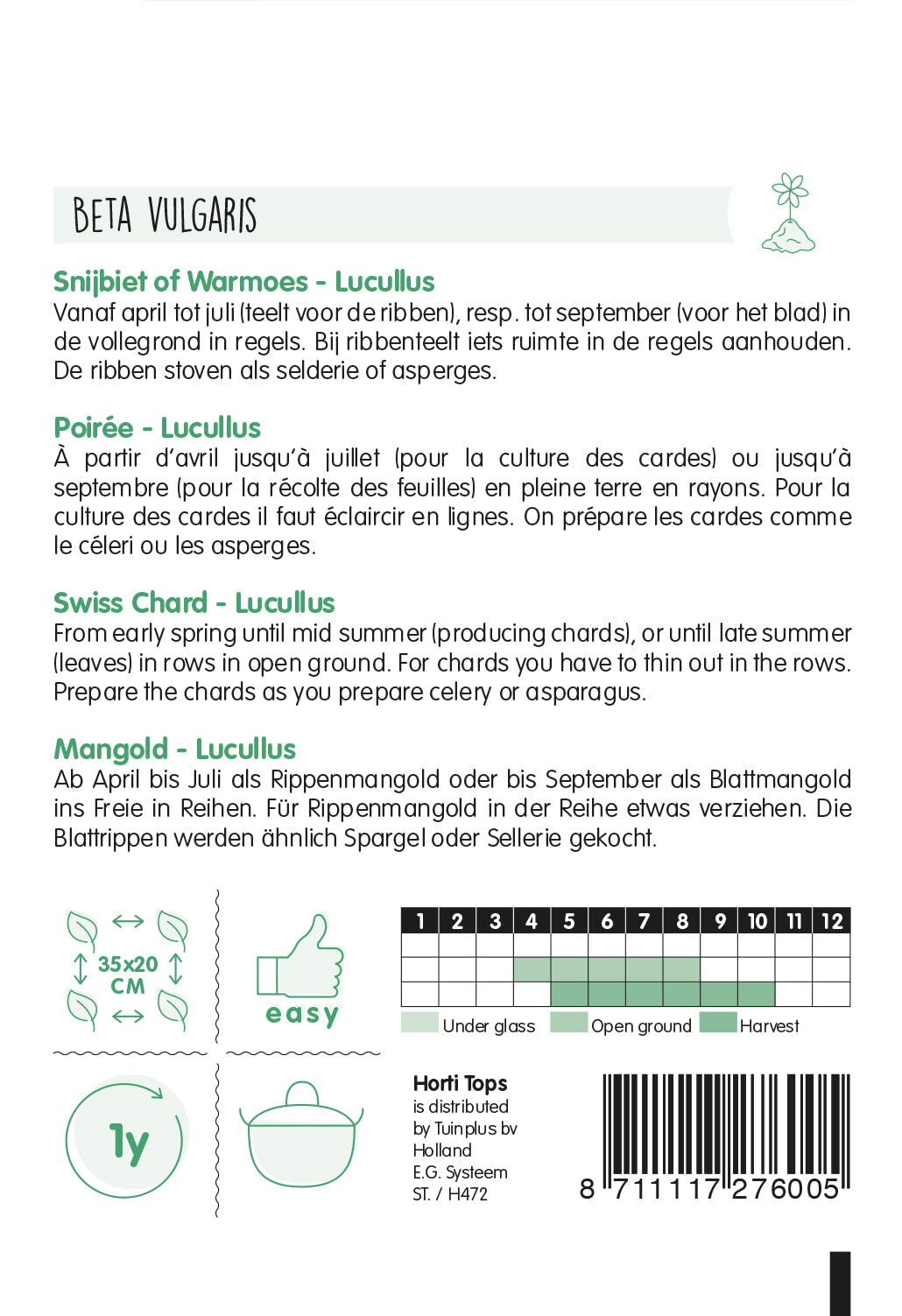 Mángold – Lucullus – 5 g