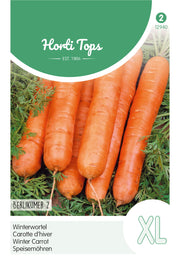Winter Carrot - Berlikumer 2 - 6 g