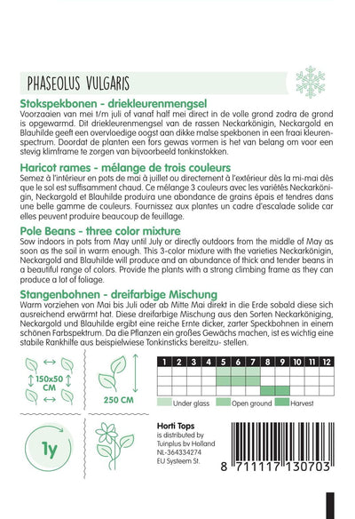 Pole Beans - 3 Color mix - 25 g