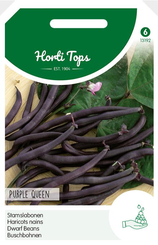 Törpebab - Purple Queen - 100 g