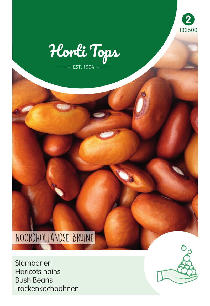 Bush Beans - Noordhollandse Bruine - 25 g