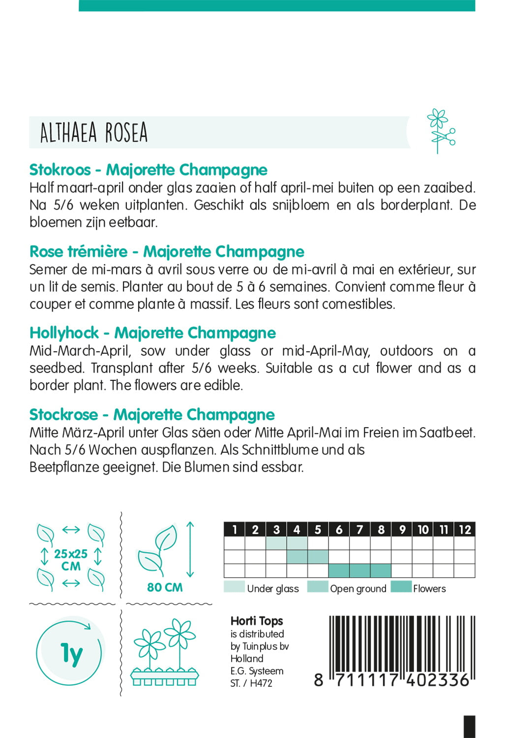 Mályvarózsa - Majorette Champagne - 1g