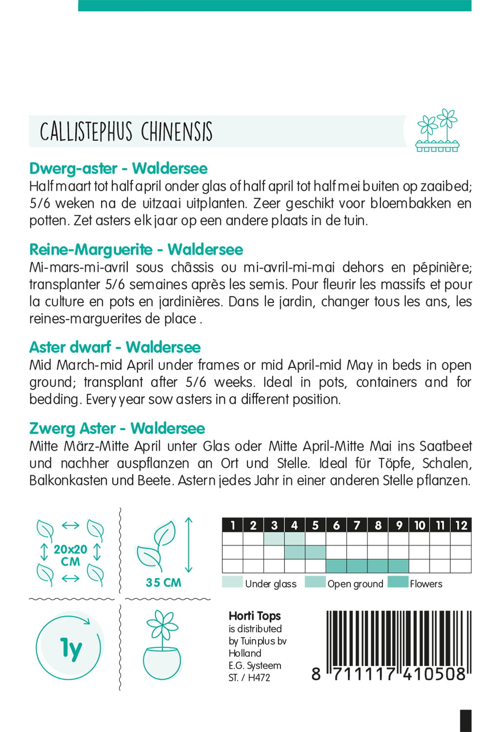 Törpe Őszirózsa - Waldersee - 0,4g