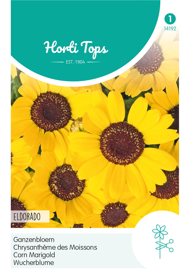 Corn Marigold - Eldorado - 1 g
