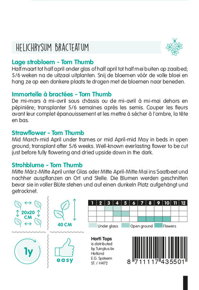 Strawflower - Tom Thumb - 0,75 g