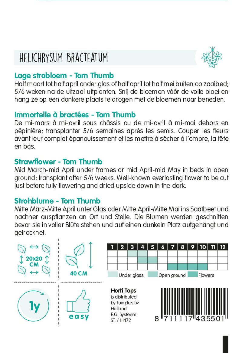 Strawflower - Tom Thumb - 0,75 g