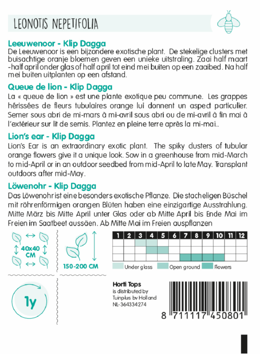 Lion's Ear - Klip Dagga - 20 Seeds